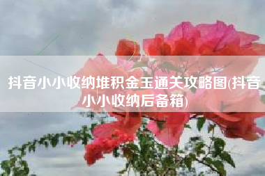 抖音小小收纳堆积金玉通关攻略图(抖音小小收纳后备箱)