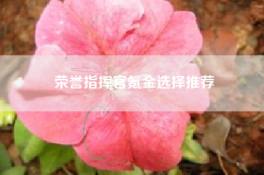 荣誉指挥官氪金选择推荐