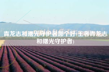 青龙志和曙光守护者哪个好(王者青龙志和曙光守护者)