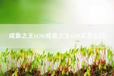 咸鱼之王6120(咸鱼之王6190关怎么过)