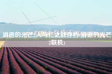 消逝的光芒2人与仁之战存档(消逝的光芒2联机)