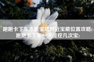跑跑卡丁车木质宝塔附近宝藏位置攻略(跑跑卡丁车一天能挖几次宝)