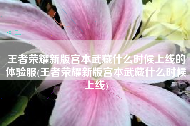 王者荣耀新版宫本武藏什么时候上线的体验服(王者荣耀新版宫本武藏什么时候上线)