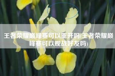 王者荣耀巅峰赛可以重开吗(王者荣耀巅峰赛可以观战好友吗)