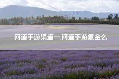 问道手游渠道一,问道手游氪金么