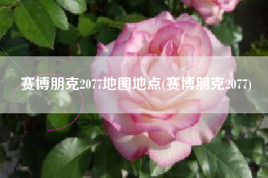 赛博朋克2077地图地点(赛博朋克2077)