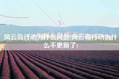 风云岛行动为什么闪退(风云岛行动为什么不更新了)