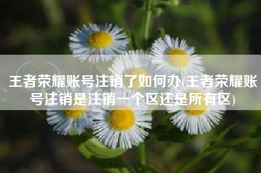 王者荣耀账号注销了如何办(王者荣耀账号注销是注销一个区还是所有区)