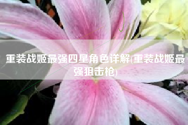 重装战姬最强四星角色详解(重装战姬最强狙击枪)