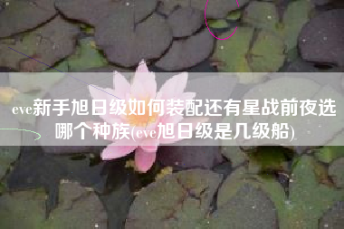 eve新手旭日级如何装配还有星战前夜选哪个种族(eve旭日级是几级船)