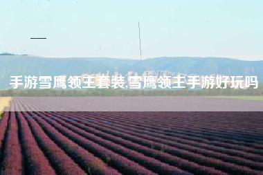 手游雪鹰领主套装,雪鹰领主手游好玩吗
