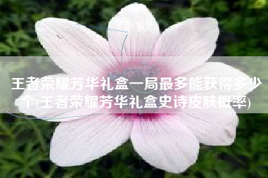 王者荣耀芳华礼盒一局最多能获得多少个(王者荣耀芳华礼盒史诗皮肤概率)