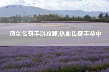 风剑传奇手游攻略,热血传奇手游中