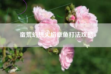 蛮荒幻想火焰章鱼打法攻略