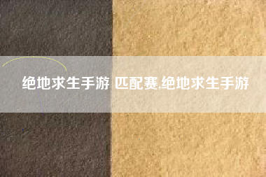 绝地求生手游 匹配赛,绝地求生手游