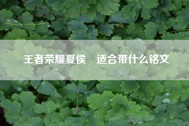 王者荣耀夏侯惇适合带什么铭文