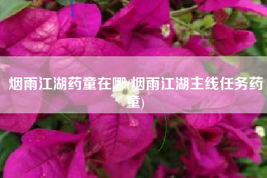 烟雨江湖药童在哪(烟雨江湖主线任务药童)