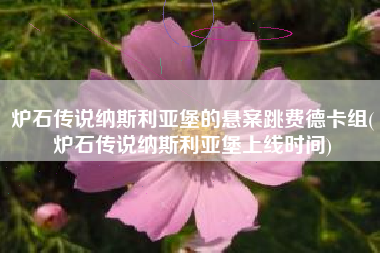 炉石传说纳斯利亚堡的悬案跳费德卡组(炉石传说纳斯利亚堡上线时间)