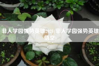非人学园强势英雄2021(非人学园强势英雄悟空)