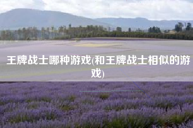 王牌战士哪种游戏(和王牌战士相似的游戏)