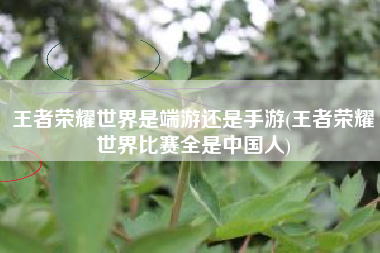 王者荣耀世界是端游还是手游(王者荣耀世界比赛全是中国人)
