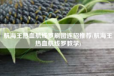 航海王热血航线罗刷图连招推荐(航海王热血航线罗教学)