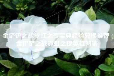 金铲铲之战霓虹之夜宝典经验兑换推荐 (金铲铲之战霓虹之夜英雄图鉴)
