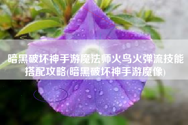 暗黑破坏神手游魔法师火鸟火弹流技能搭配攻略(暗黑破坏神手游魔像)