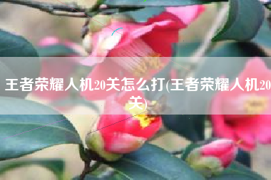 王者荣耀人机20关怎么打(王者荣耀人机20关)