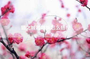 猫之城睡眠队怎么搭配