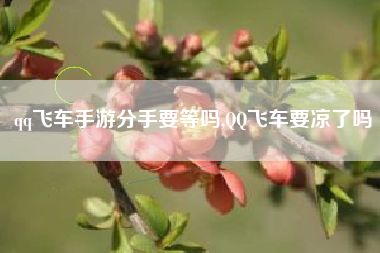 qq飞车手游分手要等吗,QQ飞车要凉了吗