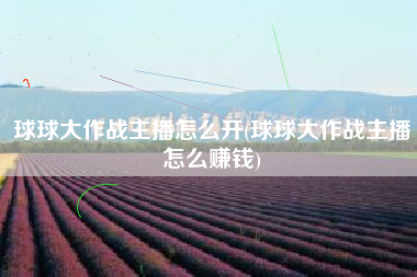 球球大作战主播怎么开(球球大作战主播怎么赚钱)