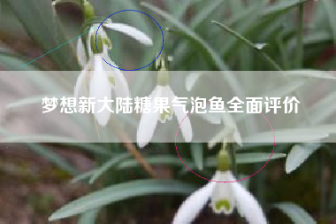 梦想新大陆糖果气泡鱼全面评价