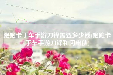 跑跑卡丁车手游刀锋需要多少钱(跑跑卡丁车手游刀锋和闪电侠)