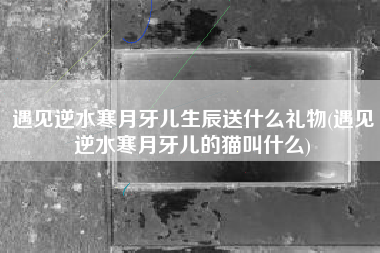 遇见逆水寒月牙儿生辰送什么礼物(遇见逆水寒月牙儿的猫叫什么)