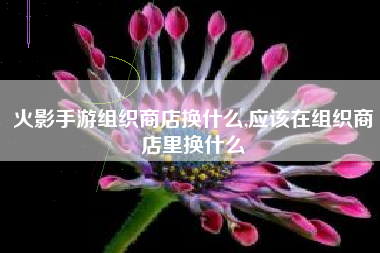 火影手游组织商店换什么,应该在组织商店里换什么