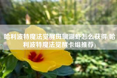 哈利波特魔法觉醒斑斓湖虾怎么获得(哈利波特魔法觉醒卡组推荐)