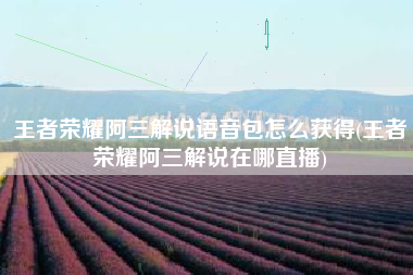 王者荣耀阿三解说语音包怎么获得(王者荣耀阿三解说在哪直播)