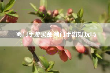 蜀门手游买金,蜀门手游好玩吗