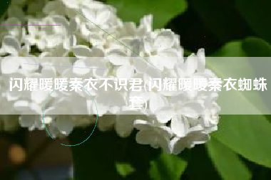 闪耀暖暖秦衣不识君(闪耀暖暖秦衣蜘蛛套)
