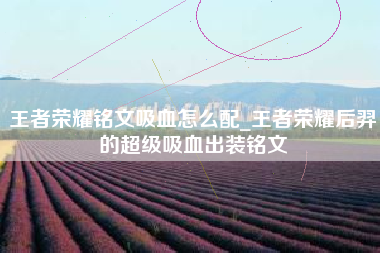 王者荣耀铭文吸血怎么配_王者荣耀后羿的超级吸血出装铭文
