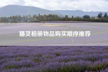 猫灵相册物品购买顺序推荐
