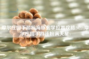 摩尔庄园手游粉海豚玄学位置攻略2022(摩尔庄园手游浅粉满天星)