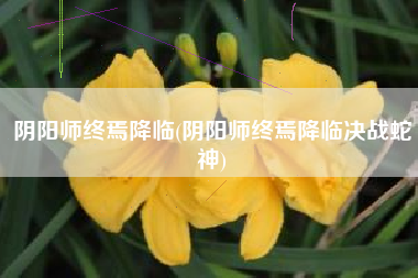 阴阳师终焉降临(阴阳师终焉降临决战蛇神)