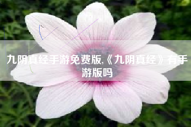 九阴真经手游免费版,《九阴真经》有手游版吗