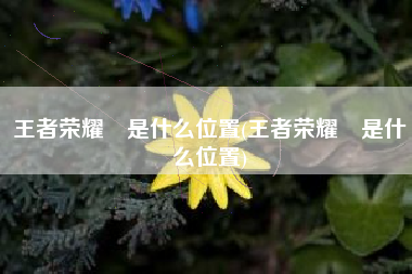 王者荣耀暃是什么位置(王者荣耀暃是什么位置)