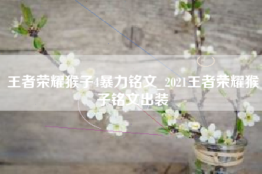王者荣耀猴子4暴力铭文_2021王者荣耀猴子铭文出装