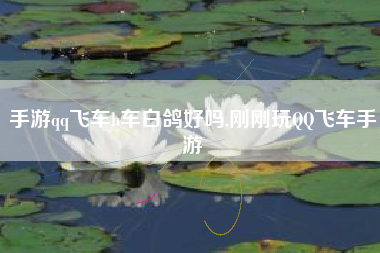 手游qq飞车b车白鸽好吗,刚刚玩QQ飞车手游