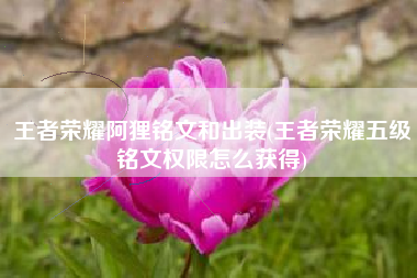 王者荣耀阿狸铭文和出装(王者荣耀五级铭文权限怎么获得)