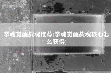 拳魂觉醒战魂推荐(拳魂觉醒战魂核心怎么获得)